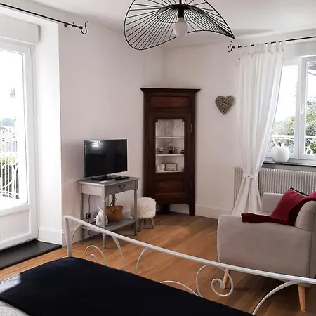 Des Agapanthes Lacroix-sur-Meuse